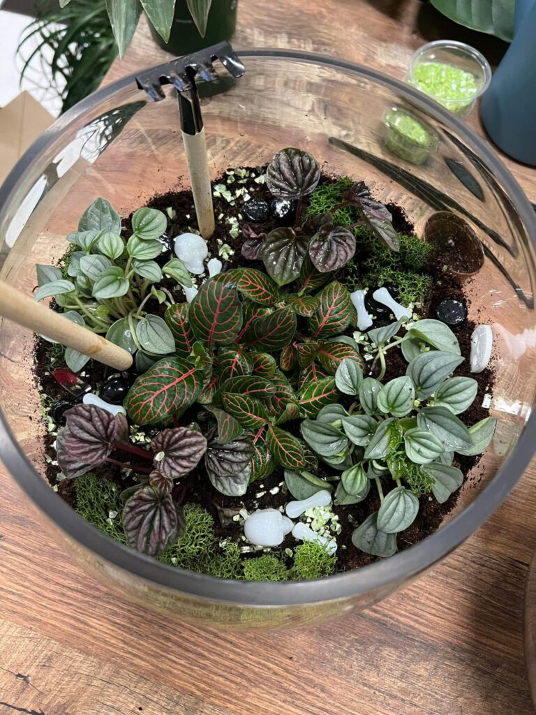 Book Plants + Coffee for your Vendor Event